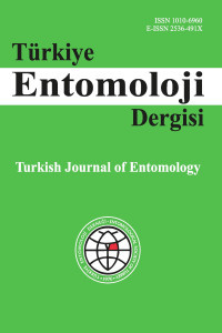 Turkish Journal of Entomology